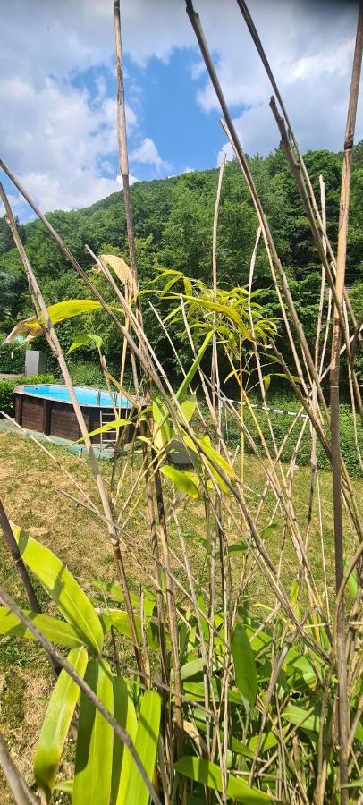 圣阿玛尼Maison Piscine别墅 外观 照片